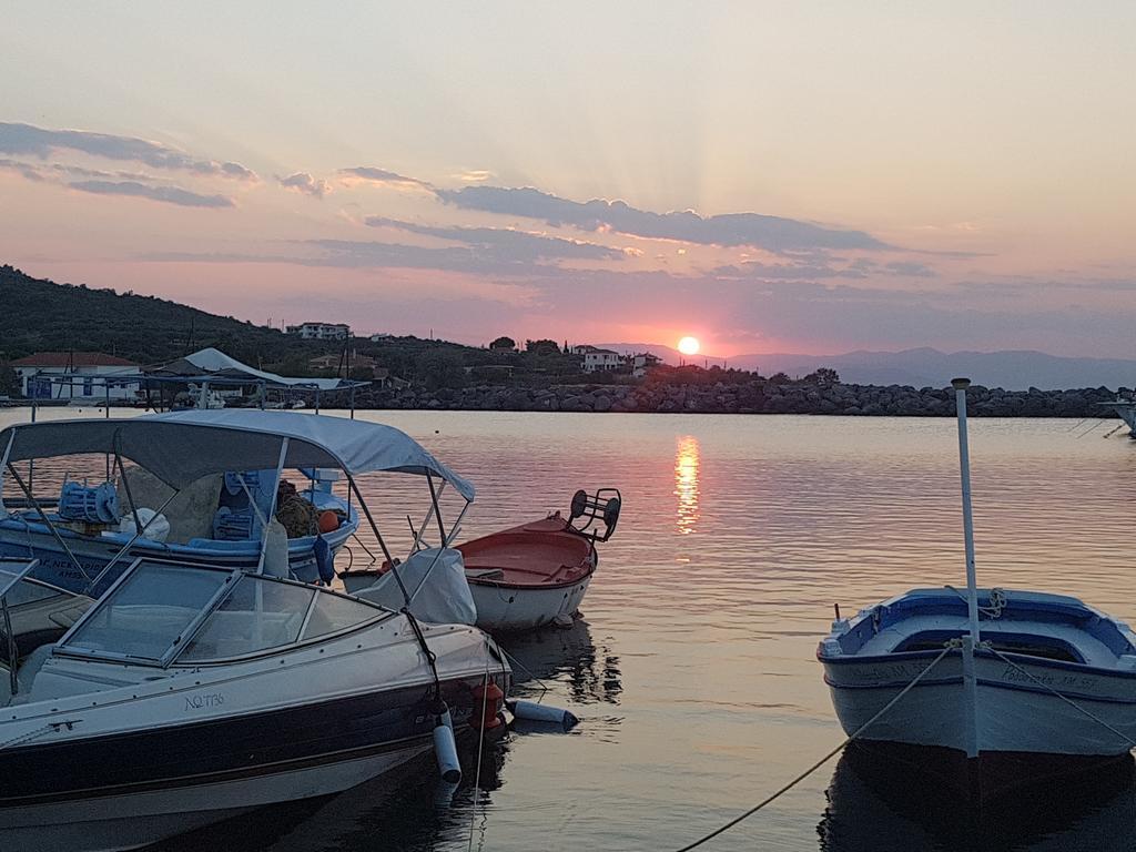 Pansion Marousa Méthana Екстериор снимка